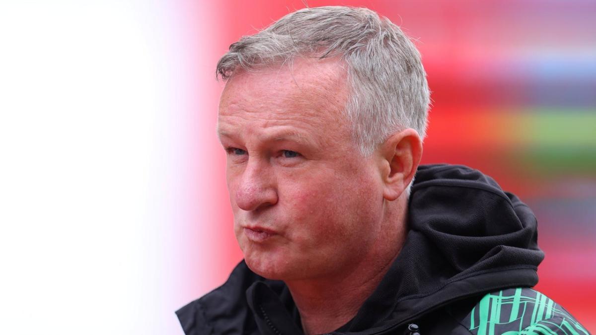 Northern Ireland manager Michael O'Neill